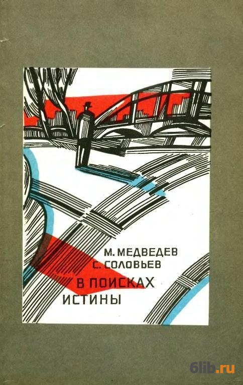 В поисках истины. В поиске истины. В поисках истины книга. Читать в поисках истины. В поисках правды книга.