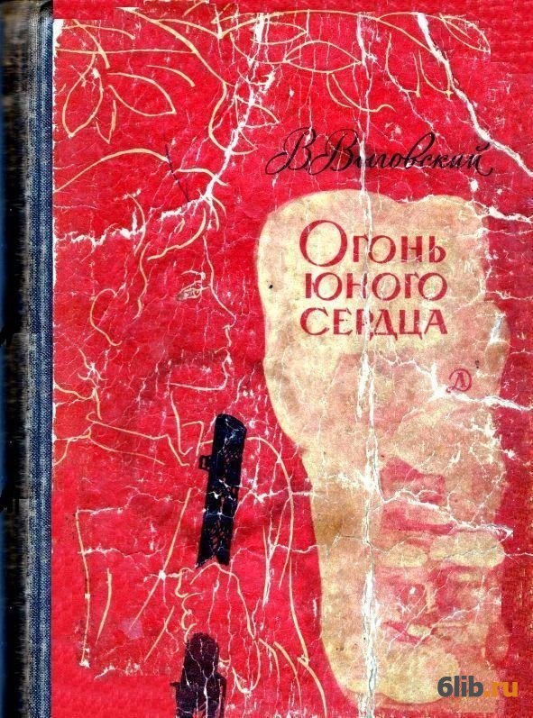 Читать книгу огонь. Выговский огонь юного сердца. Книга с огнем. Пламя юных сердец книга. Огненное сердце книга.